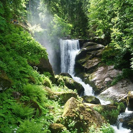 Rita - Atemberaubenden Wasserfaelle Triberg im Schwarzwald Buitenkant foto