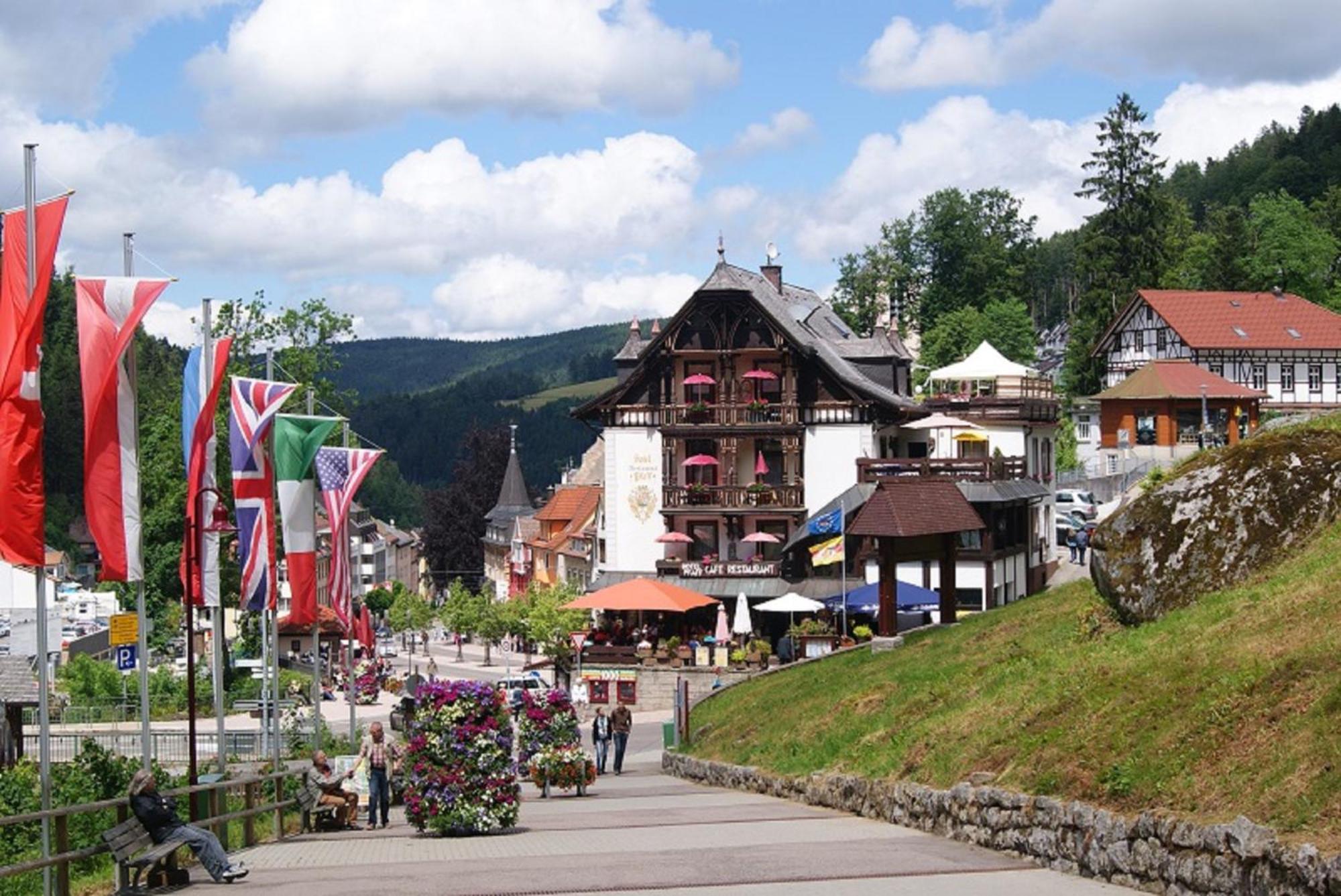 Rita - Atemberaubenden Wasserfaelle Triberg im Schwarzwald Buitenkant foto