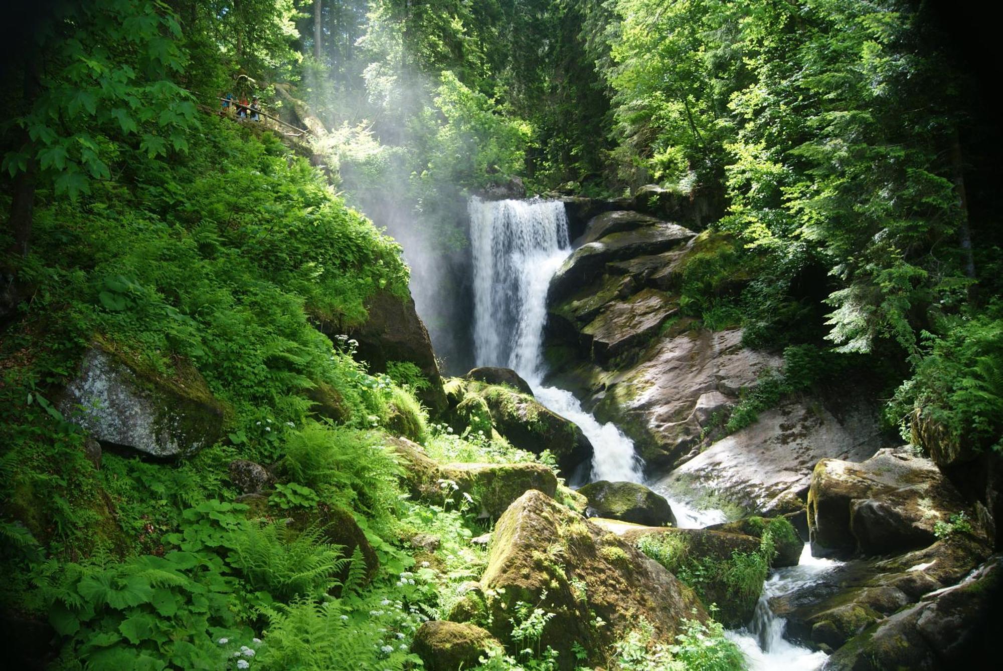 Rita - Atemberaubenden Wasserfaelle Triberg im Schwarzwald Buitenkant foto